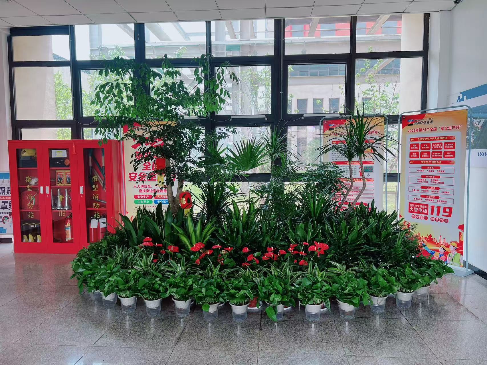 宁波镇海植物出租哪家好